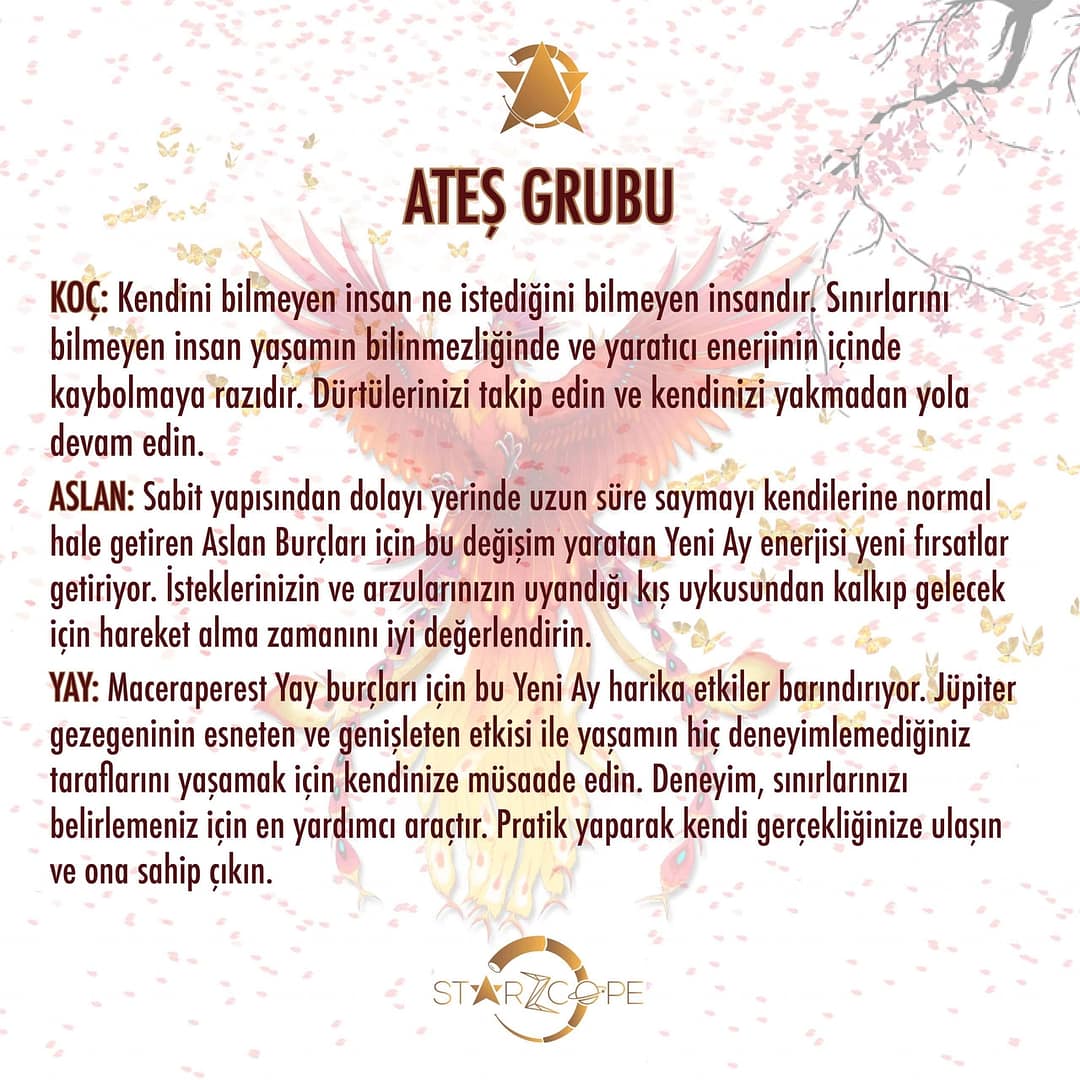 StarZcope_Post_54192