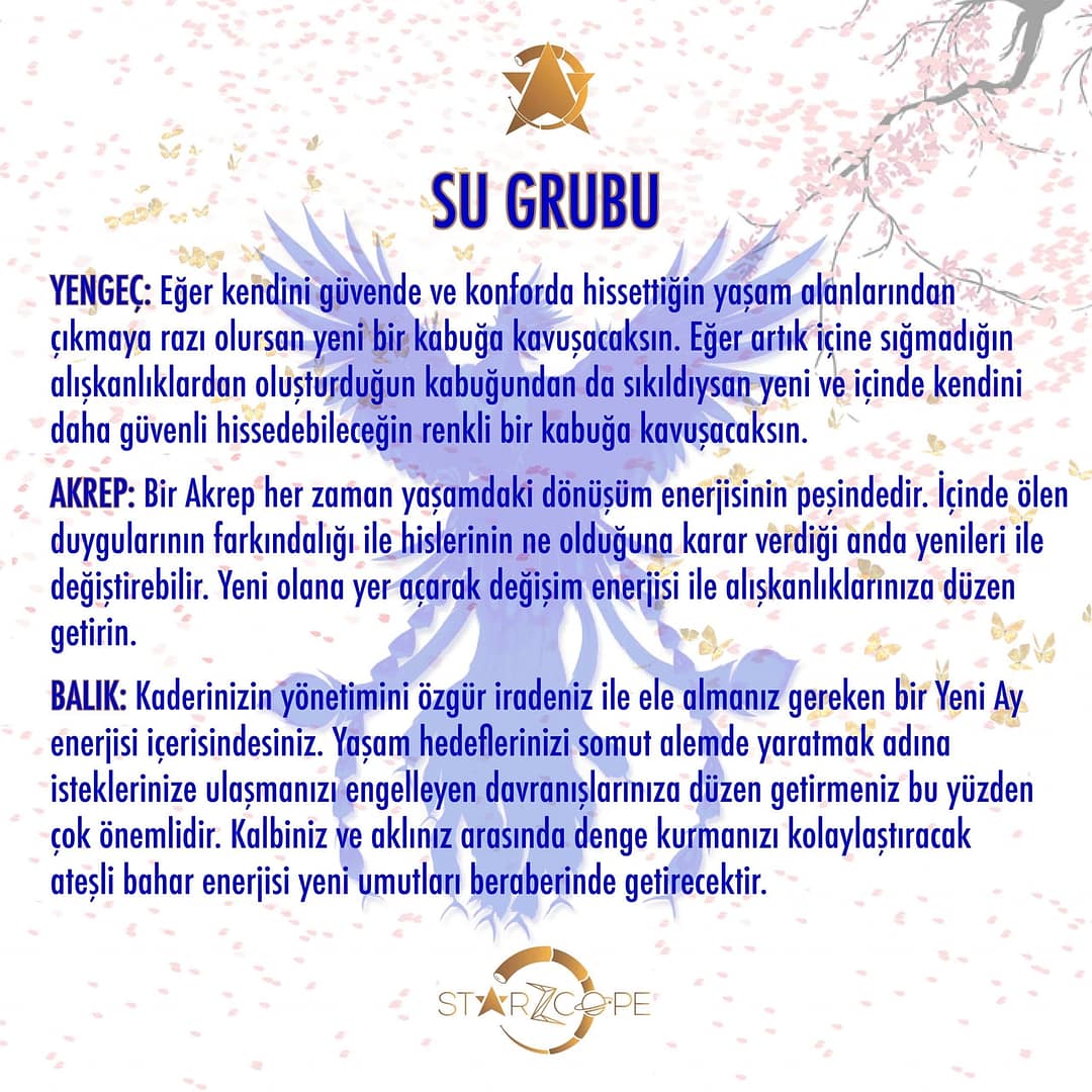 StarZcope_Post_54195