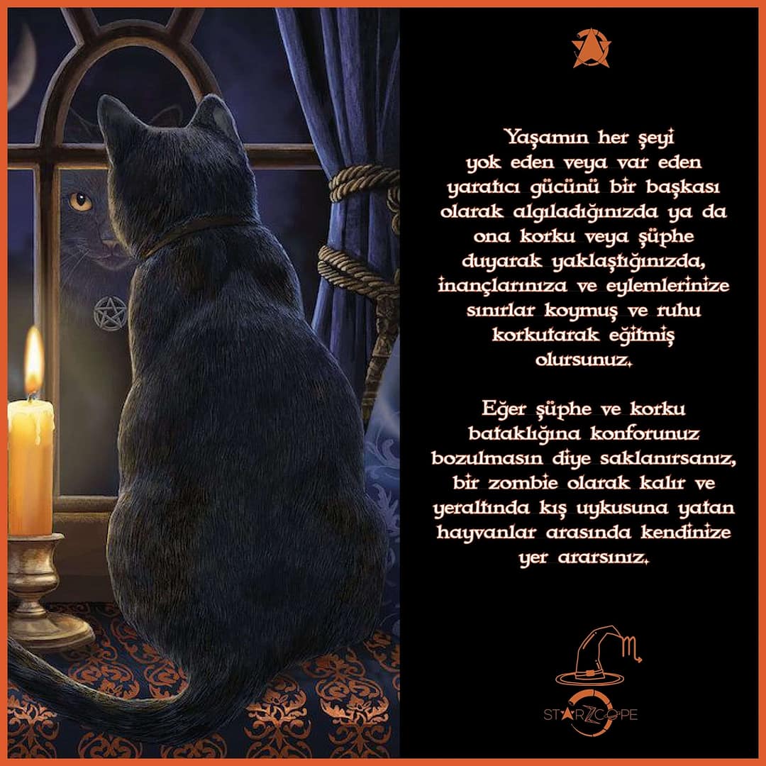 StarZcope_Post_28101910