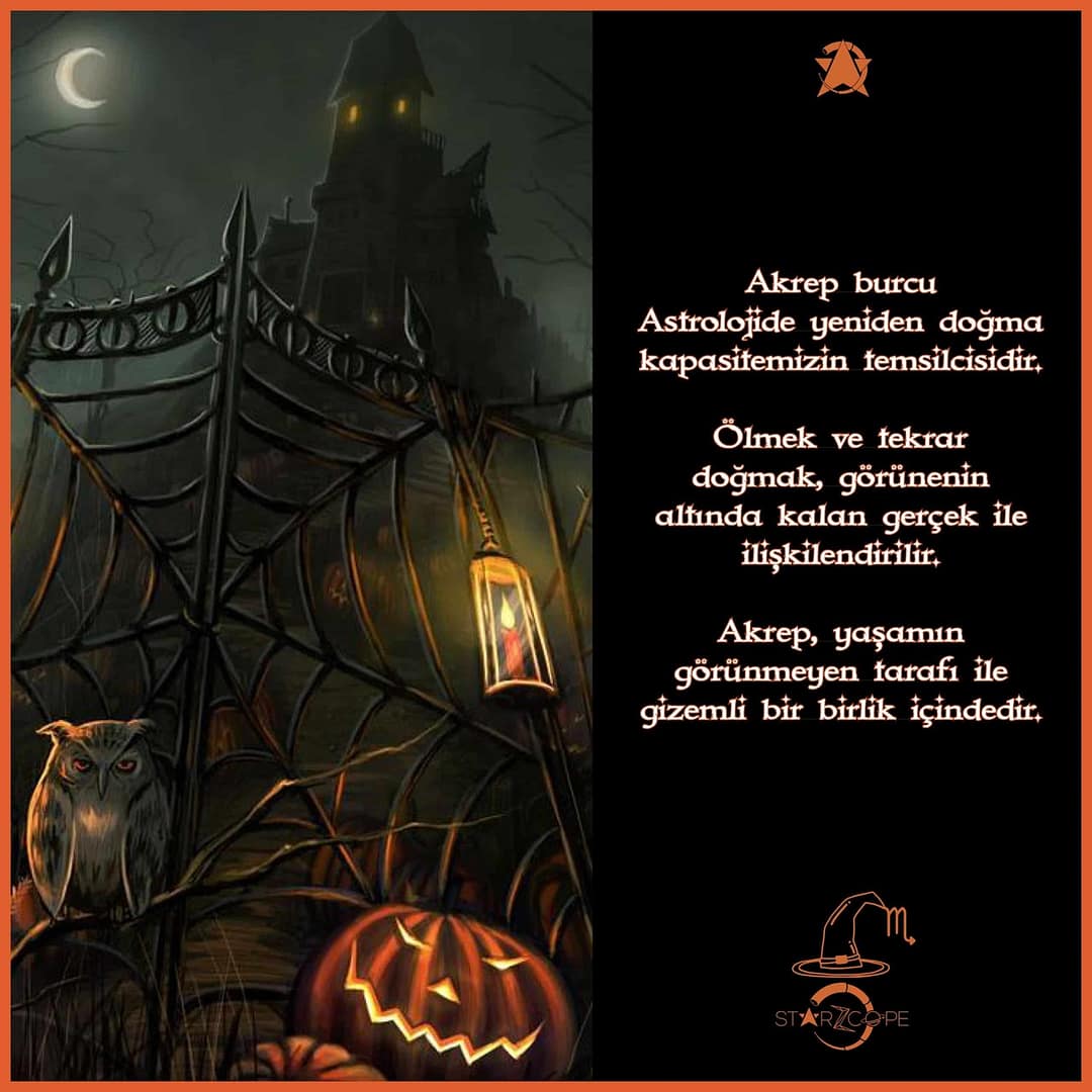 StarZcope_Post_2810192