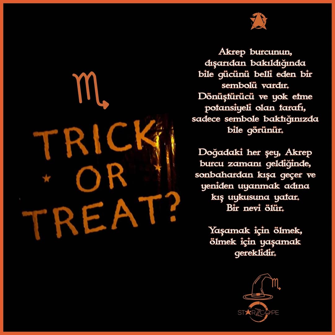 StarZcope_Post_2810193