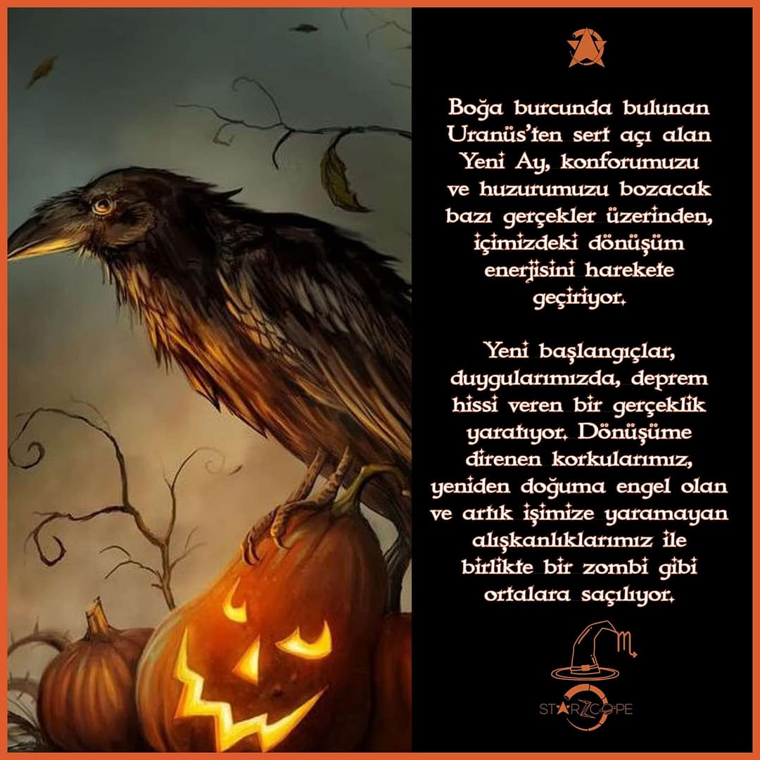 StarZcope_Post_2810194