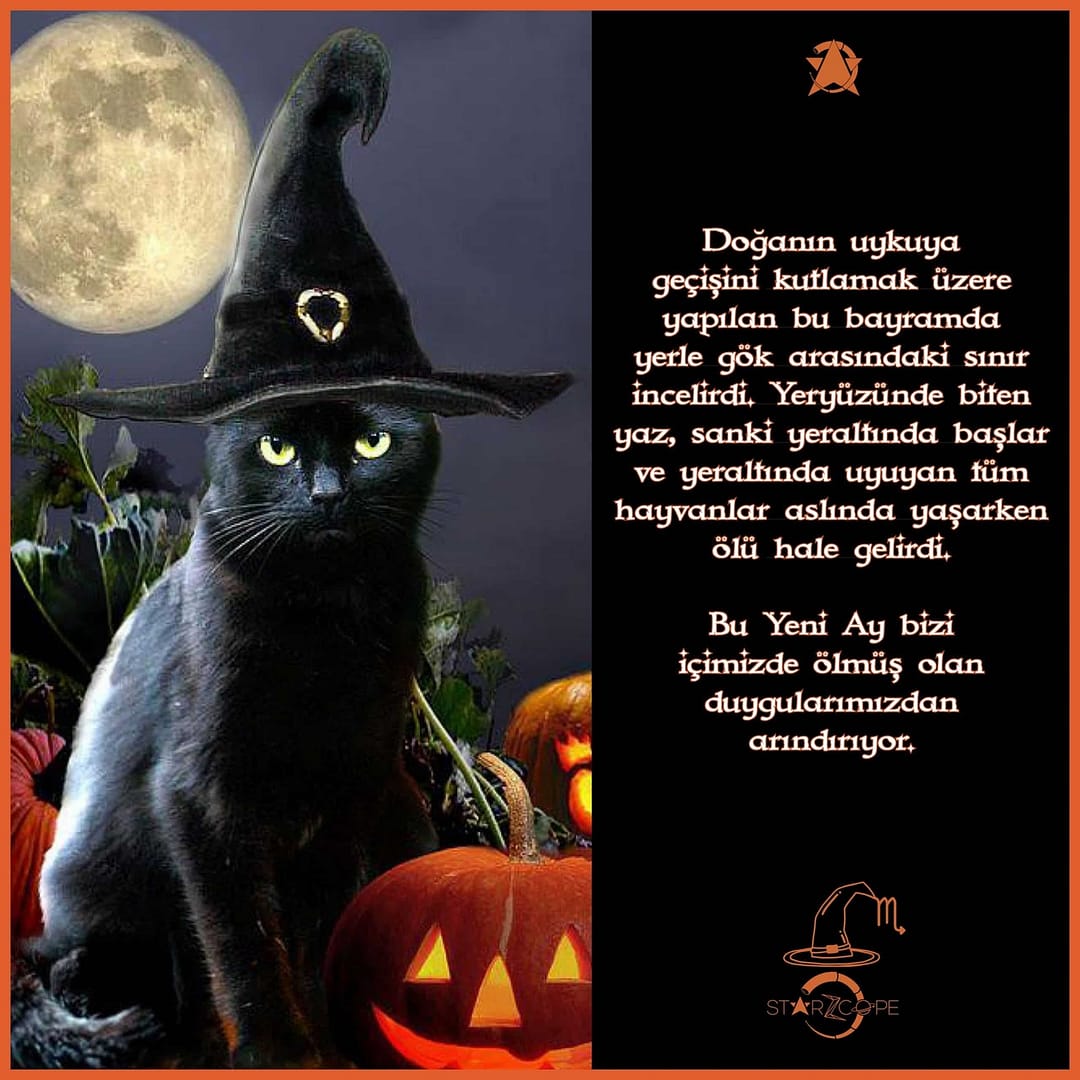 StarZcope_Post_2810196